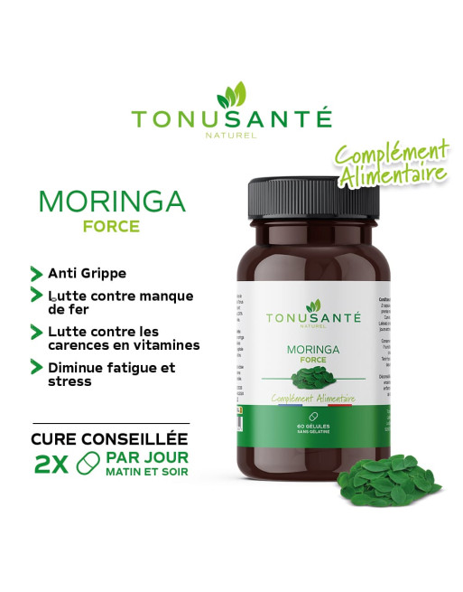 GELULES MORINGA X3 GELULES MORINGA X3