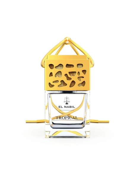 TROPICAL -PARFUM VOITURE X6