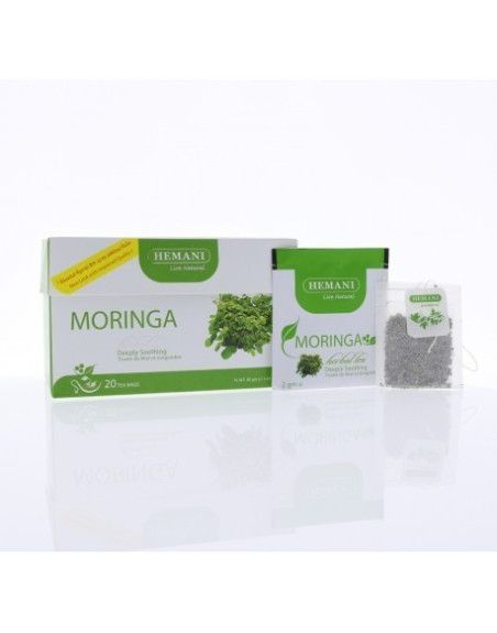 INFUSION DE MORINGA X6