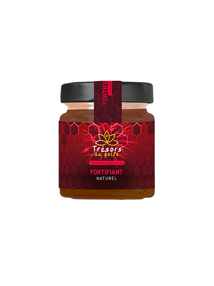 MIEL FORTIFIANT 250G X3