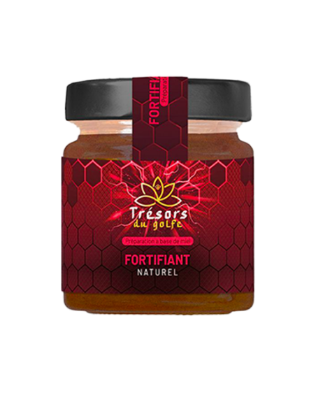 MIEL FORTIFIANT 250G X3